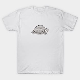 Tortoise T-Shirt